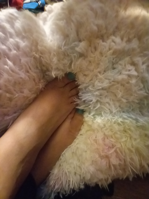 prettyfeetiana leaked gallery photo 2